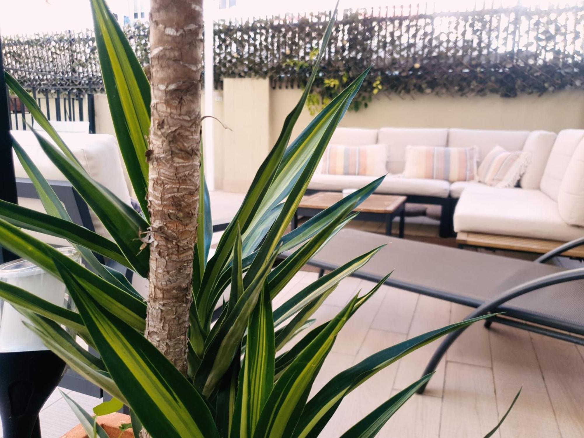 Zalamera Bnb — Foto’s 1